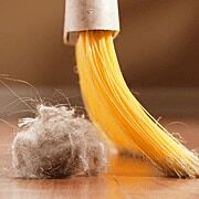 blog-dust